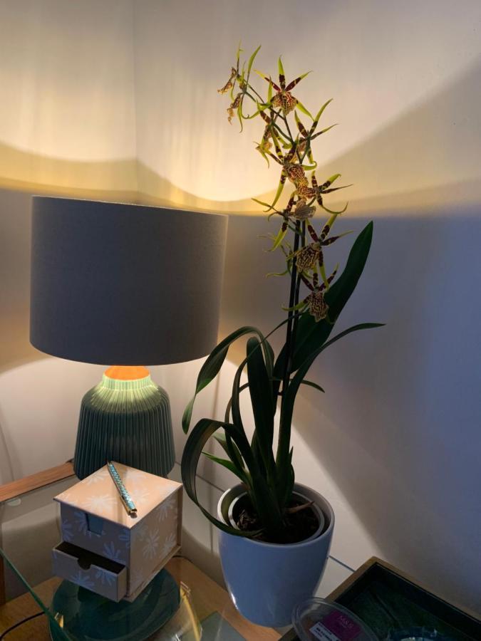 Hideaway Holiday Apartment ソールズベリー エクステリア 写真